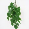 Artificial Plant 30*81CM Anthurium leaves Hanging/lvs42 GS-14521012 Banners&Garlands YeahFlower is one of Chinese leading OEM manufacturers and exporters , supplying the silk flowers, wholesale artificial trees