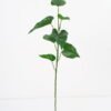 Artificial Plant 29*70CM Anthurium leaves spray/lvs7 GS-14521006 Leaves&Sprays&Foliages YeahFlower is one of Chinese leading OEM manufacturers and exporters , supplying the silk flowers, wholesale artificial trees