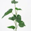 Artificial Plant 29*70CM Anthurium leaves spray/lvs7 GS-14521006 Leaves&Sprays&Foliages YeahFlower is one of Chinese leading OEM manufacturers and exporters , supplying the silk flowers, wholesale artificial trees