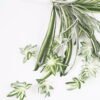 Artificial Plant Chlorophytum GS-52421001_8 Artificial Plant Chlorophytum GS-52421001 Leaves&Sprays&Foliages YeahFlower is one of Chinese leading OEM manufacturers and exporters , supplying the silk flowers, wholesale artificial trees