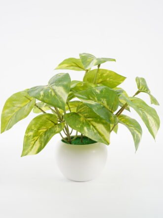 Artificial Plant 25*24*20CM Ivy in pp pot GS-64221002 Potted Flowers&Plants 3,000+ sqm showroom with thousands of artificial flowers, plants & trees ready for global sourcing.