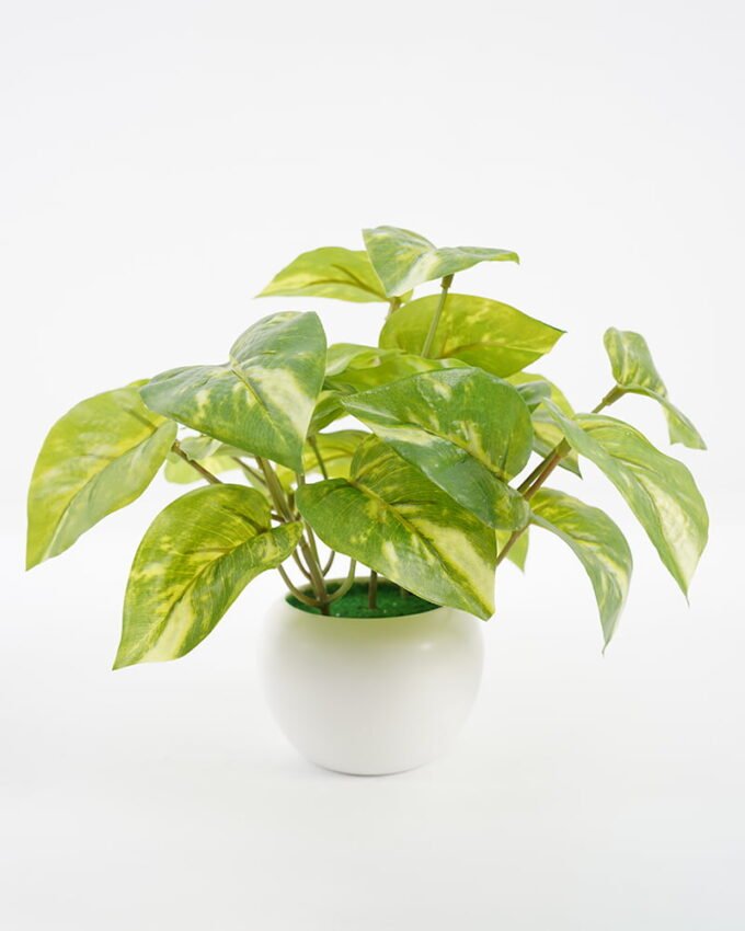Artificial Plant 24*24*19CM Epipremnum aureum leaf in pp pot GS-64221003 Potted Flowers&Plants YeahFlower is one of Chinese leading OEM manufacturers and exporters , supplying the silk flowers, wholesale artificial trees