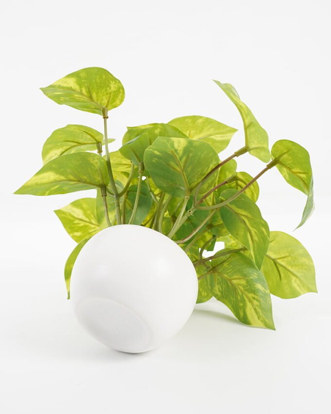 Artificial Plant 24*24*19CM Epipremnum aureum leaf in pp pot GS-64221003 Potted Flowers&Plants YeahFlower is one of Chinese leading OEM manufacturers and exporters , supplying the silk flowers, wholesale artificial trees