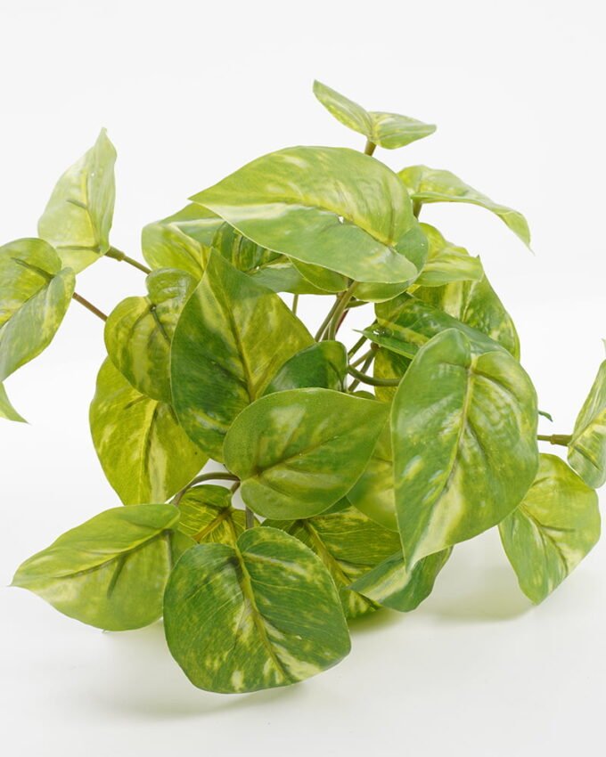 Artificial Plant 24*24*19CM Epipremnum aureum leaf in pp pot GS-64221003 Potted Flowers&Plants YeahFlower is one of Chinese leading OEM manufacturers and exporters , supplying the silk flowers, wholesale artificial trees