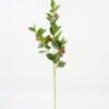 Artificial Plant 20*67CM Fruit of tea plant*3 GS-61721007 Leaves&Sprays&Foliages 3,000+ sqm showroom with thousands of artificial flowers, plants & trees ready for global sourcing.
