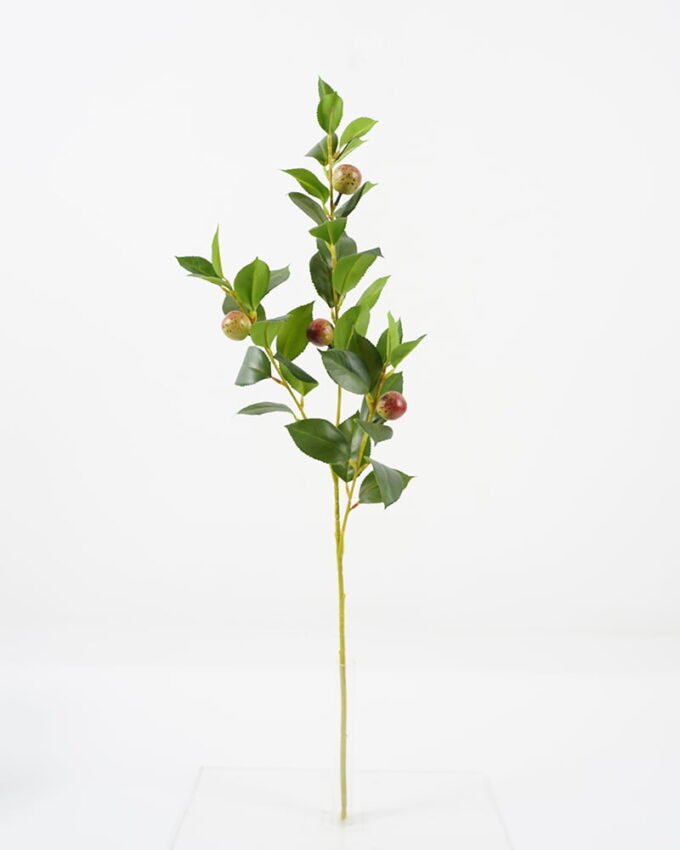 Artificial Plant 20*67CM Fruit of tea plant*3 GS-61721007 Leaves&Sprays&Foliages 3,000+ sqm showroom with thousands of artificial flowers, plants & trees ready for global sourcing.