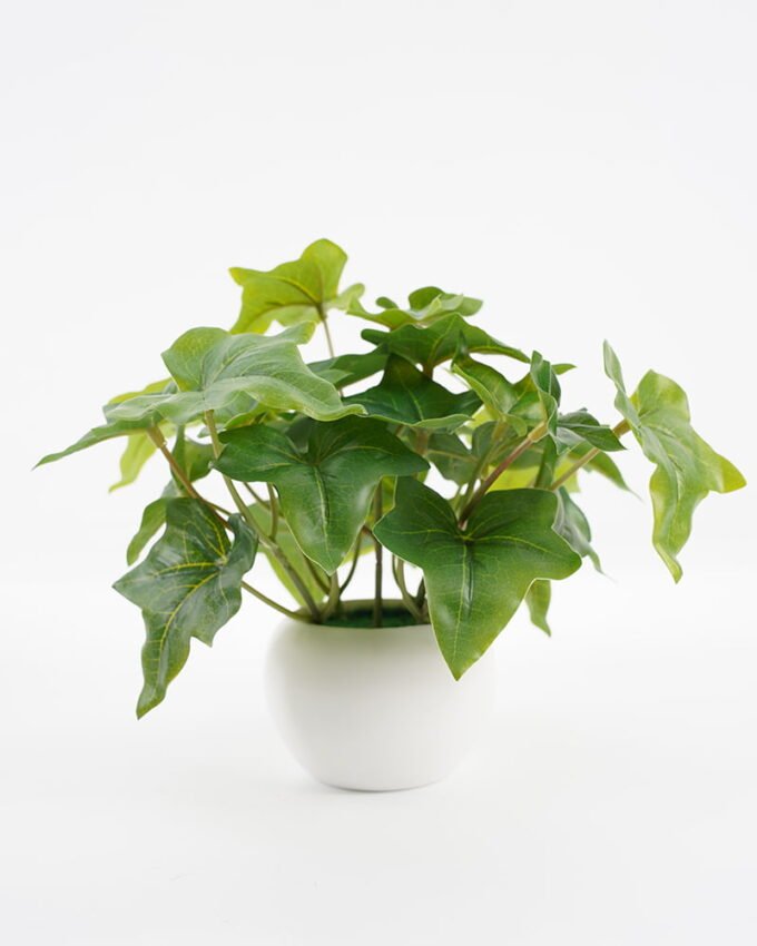 Artificial Plant 25*24*20CM Ivy in pp pot GS-64221002 Potted Flowers&Plants YeahFlower is one of Chinese leading OEM manufacturers and exporters , supplying the silk flowers, wholesale artificial trees
