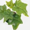 Artificial Plant Ivy in pp pot GS-64221006_4 Artificial Plant 13*14*17CM Ivy in pp pot GS-64221006 Potted Flowers&Plants YeahFlower is one of Chinese leading OEM manufacturers and exporters , supplying the silk flowers, wholesale artificial trees