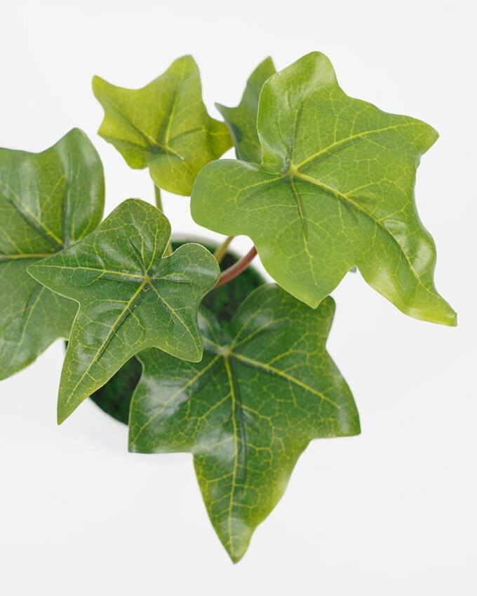 Artificial Plant Ivy in pp pot GS-64221006_4 Artificial Plant 13*14*17CM Ivy in pp pot GS-64221006 Potted Flowers&Plants YeahFlower is one of Chinese leading OEM manufacturers and exporters , supplying the silk flowers, wholesale artificial trees