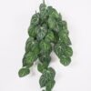 Artificial Plant 37*81CM Leaves Hanging/lvs42 GS-14521009 Leaves&Sprays&Foliages 3,000+ sqm showroom with thousands of artificial flowers, plants & trees ready for global sourcing.