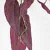 Artificial Plant 31*83CM Leaves Hanging/lvs42 GS-14521010 Banners&Garlands YeahFlower is one of Chinese leading OEM manufacturers and exporters , supplying the silk flowers, wholesale artificial trees