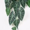 Artificial Plant 32*81CM Leaves Hanging/lvs42 GS-14521011 Banners&Garlands 3,000+ sqm showroom with thousands of artificial flowers, plants & trees ready for global sourcing.