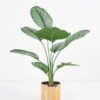 Artificial Plant 31*32*45CM Leaves in melami pot/lvs9 GS-14521016 Potted Flowers&Plants YeahFlower is one of Chinese leading OEM manufacturers and exporters , supplying the silk flowers, wholesale artificial trees