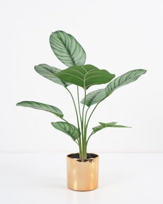 Artificial Plant 31*32*45CM Leaves in melami pot/lvs9 GS-14521016 Potted Flowers&Plants YeahFlower is one of Chinese leading OEM manufacturers and exporters , supplying the silk flowers, wholesale artificial trees Artificial Plant 31*32*45CM Leaves in melami pot/lvs9 GS-14521016 Potted Flowers&Plants YeahFlower is one of Chinese leading OEM manufacturers and exporters , supplying the silk flowers, wholesale artificial trees