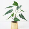 Artificial Plant 34*30*36CM Leaves in melami pot/lvs9 GS-14521018 Potted Flowers&Plants YeahFlower is one of Chinese leading OEM manufacturers and exporters , supplying the silk flowers, wholesale artificial trees