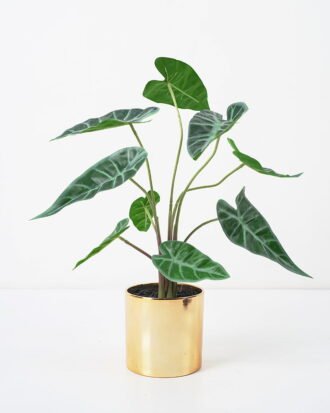 Artificial Plant 34*30*36CM Leaves in melami pot/lvs9 GS-14521018 Potted Flowers&Plants YeahFlower is one of Chinese leading OEM manufacturers and exporters , supplying the silk flowers, wholesale artificial trees Artificial Plant 34*30*36CM Leaves in melami pot/lvs9 GS-14521018 Potted Flowers&Plants YeahFlower is one of Chinese leading OEM manufacturers and exporters , supplying the silk flowers, wholesale artificial trees
