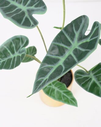 Artificial Plant 34*30*36CM Leaves in melami pot/lvs9 GS-14521018 Potted Flowers&Plants YeahFlower is one of Chinese leading OEM manufacturers and exporters , supplying the silk flowers, wholesale artificial trees Artificial Plant 34*30*36CM Leaves in melami pot/lvs9 GS-14521018 Potted Flowers&Plants YeahFlower is one of Chinese leading OEM manufacturers and exporters , supplying the silk flowers, wholesale artificial trees