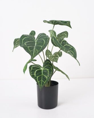 Artificial Plant 31*31*39CM Leaves in pp pot/lvs9 GS-14521013 Potted Flowers&Plants YeahFlower is one of Chinese leading OEM manufacturers and exporters , supplying the silk flowers, wholesale artificial trees Artificial Plant 31*31*39CM Leaves in pp pot/lvs9 GS-14521013 Potted Flowers&Plants YeahFlower is one of Chinese leading OEM manufacturers and exporters , supplying the silk flowers, wholesale artificial trees