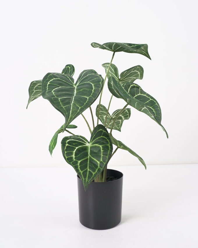 Artificial Plant 31*31*39CM Leaves in pp pot/lvs9 GS-14521013 Potted Flowers&Plants YeahFlower is one of Chinese leading OEM manufacturers and exporters , supplying the silk flowers, wholesale artificial trees