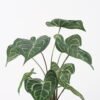 Artificial Plant 31*31*39CM Leaves in pp pot/lvs9 GS-14521013 Potted Flowers&Plants YeahFlower is one of Chinese leading OEM manufacturers and exporters , supplying the silk flowers, wholesale artificial trees