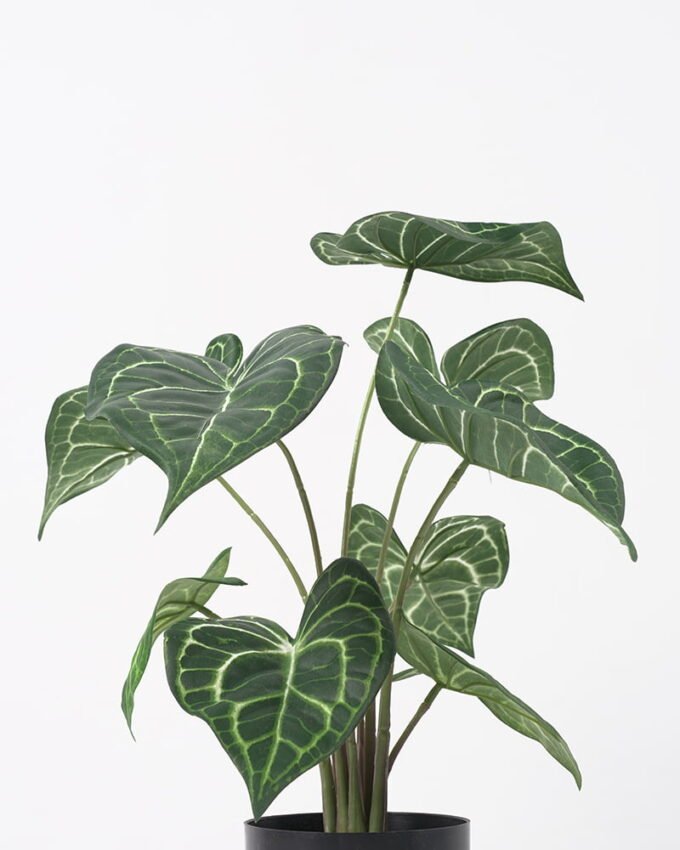 Artificial Plant 31*31*39CM Leaves in pp pot/lvs9 GS-14521013 Potted Flowers&Plants YeahFlower is one of Chinese leading OEM manufacturers and exporters , supplying the silk flowers, wholesale artificial trees