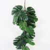 Artificial Monstera Leafs Hanging Looks real 48*91cm fake Monstera Hanging*18 Bonsai Plants for Indoor Outdoor decorations GS-64021011 Leaves&Sprays&Foliages YeahFlower is one of Chinese leading OEM manufacturers and exporters , supplying the silk flowers, wholesale artificial trees