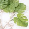Artificial Plant 35*90CM Monstera Hanging GS-41021001CONTI Leaves&Sprays&Foliages YeahFlower is one of Chinese leading OEM manufacturers and exporters , supplying the silk flowers, wholesale artificial trees