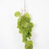 Artificial Plant 35*90CM Monstera Hanging GS-41021001CONTI Leaves&Sprays&Foliages YeahFlower is one of Chinese leading OEM manufacturers and exporters , supplying the silk flowers, wholesale artificial trees