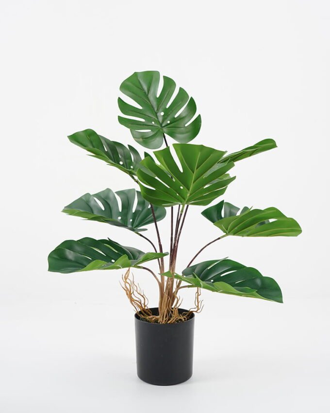 Artificial Plant 43*39*45cm Monstera in pp pot GS-64021002 Potted Flowers&Plants YeahFlower is one of Chinese leading OEM manufacturers and exporters , supplying the silk flowers, wholesale artificial trees