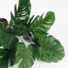Artificial Plant 43*39*45cm Monstera in pp pot GS-64021002 Potted Flowers&Plants YeahFlower is one of Chinese leading OEM manufacturers and exporters , supplying the silk flowers, wholesale artificial trees