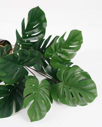 Artificial Plant 43*39*45cm Monstera in pp pot GS-64021002 Potted Flowers&Plants YeahFlower is one of Chinese leading OEM manufacturers and exporters , supplying the silk flowers, wholesale artificial trees Artificial Plant 43*39*45cm Monstera in pp pot GS-64021002 Potted Flowers&Plants YeahFlower is one of Chinese leading OEM manufacturers and exporters , supplying the silk flowers, wholesale artificial trees