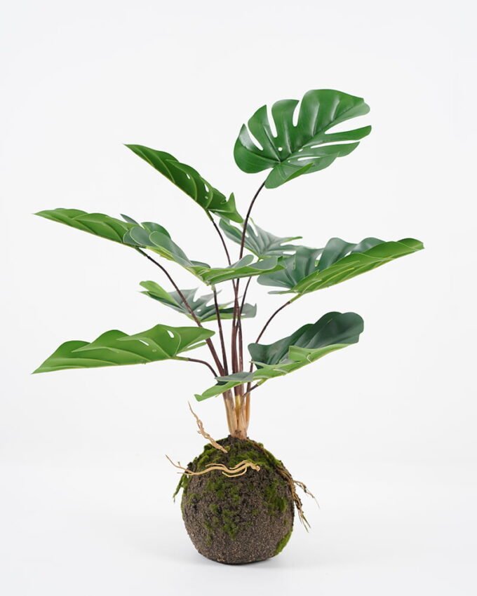 Artificial Plant 41*42*47cm Monstera in pp pot GS-64021006 Potted Flowers&Plants YeahFlower is one of Chinese leading OEM manufacturers and exporters , supplying the silk flowers, wholesale artificial trees