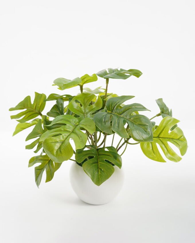 Artificial Plant 23*25*19CM Monstera in pp pot GS-64221001 Potted Flowers&Plants YeahFlower is one of Chinese leading OEM manufacturers and exporters , supplying the silk flowers, wholesale artificial trees