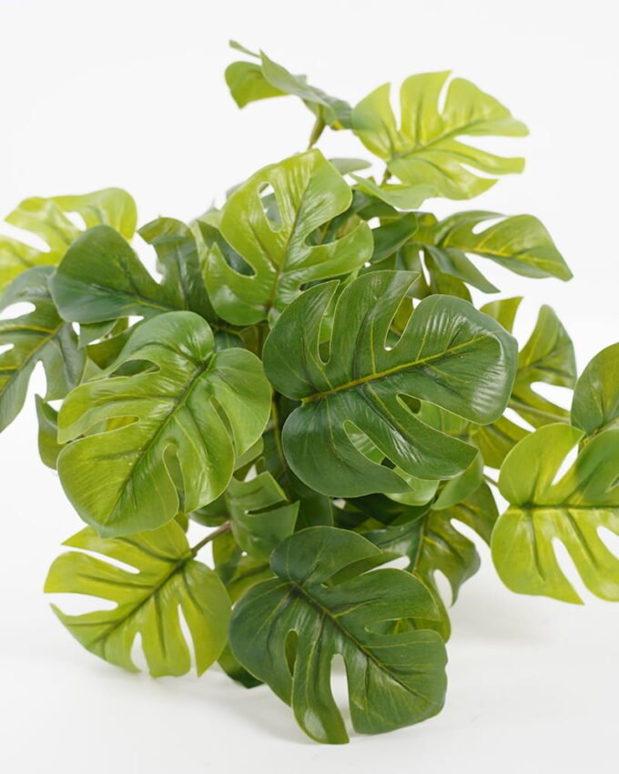 Artificial Plant 23*25*19CM Monstera in pp pot GS-64221001 Potted Flowers&Plants YeahFlower is one of Chinese leading OEM manufacturers and exporters , supplying the silk flowers, wholesale artificial trees