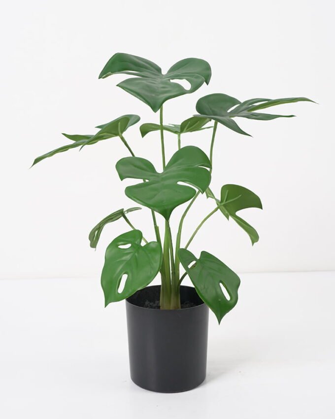 Artificial Plant 31*24*38CM Monstera in pp pot/lvs9 GS-14521015 Potted Flowers&Plants YeahFlower is one of Chinese leading OEM manufacturers and exporters , supplying the silk flowers, wholesale artificial trees
