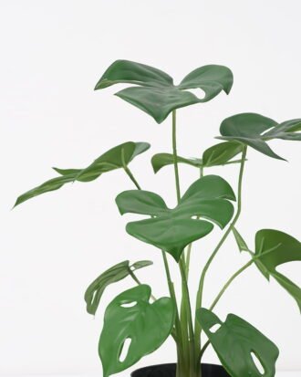 Artificial Plant 31*24*38CM Monstera in pp pot/lvs9 GS-14521015 Potted Flowers&Plants YeahFlower is one of Chinese leading OEM manufacturers and exporters , supplying the silk flowers, wholesale artificial trees Artificial Plant 31*24*38CM Monstera in pp pot/lvs9 GS-14521015 Potted Flowers&Plants YeahFlower is one of Chinese leading OEM manufacturers and exporters , supplying the silk flowers, wholesale artificial trees