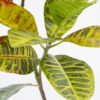 Artificial Plant 28*102CM Oak spray*3 GS-61721002 Leaves&Sprays&Foliages 3,000+ sqm showroom with thousands of artificial flowers, plants & trees ready for global sourcing.