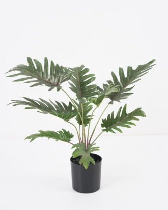 Artificial Plant 41*38*40CM Philodendron in pp pot/lvs9 GS-14521014 Potted Flowers&Plants YeahFlower is one of Chinese leading OEM manufacturers and exporters , supplying the silk flowers, wholesale artificial trees Artificial Plant 41*38*40CM Philodendron in pp pot/lvs9 GS-14521014 Potted Flowers&Plants YeahFlower is one of Chinese leading OEM manufacturers and exporters , supplying the silk flowers, wholesale artificial trees