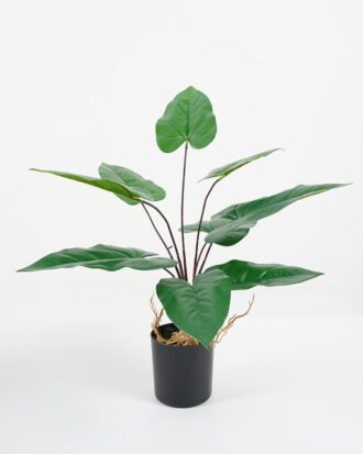 Artificial Plant 43*44*45cm leaf in pp pot GS-64021001 Potted Flowers&Plants YeahFlower is one of Chinese leading OEM manufacturers and exporters , supplying the silk flowers, wholesale artificial trees Artificial Plant 43*44*45cm leaf in pp pot GS-64021001 Potted Flowers&Plants YeahFlower is one of Chinese leading OEM manufacturers and exporters , supplying the silk flowers, wholesale artificial trees