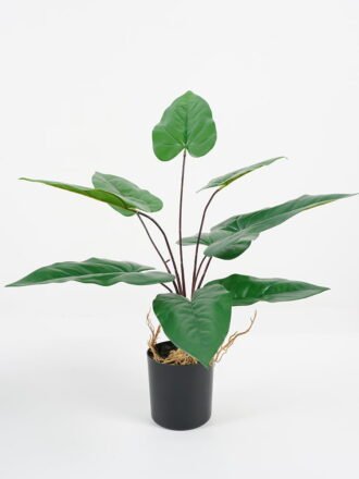 Artificial Flower 33*36*91CM Sansevieria in pp pot/lvs29 GS-59521062 Potted Flowers&Plants 3,000+ sqm showroom with thousands of artificial flowers, plants & trees ready for global sourcing.