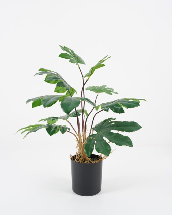 Artificial Plant 39*37*45cm leaf in pp pot GS-64021003 Potted Flowers&Plants YeahFlower is one of Chinese leading OEM manufacturers and exporters , supplying the silk flowers, wholesale artificial trees