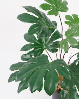 Artificial Plant 39*37*45cm leaf in pp pot GS-64021003 Potted Flowers&Plants YeahFlower is one of Chinese leading OEM manufacturers and exporters , supplying the silk flowers, wholesale artificial trees Artificial Plant 39*37*45cm leaf in pp pot GS-64021003 Potted Flowers&Plants YeahFlower is one of Chinese leading OEM manufacturers and exporters , supplying the silk flowers, wholesale artificial trees