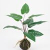 Artificial Plant 46*47*53cm leaf in pp pot GS-64021007 Potted Flowers&Plants YeahFlower is one of Chinese leading OEM manufacturers and exporters , supplying the silk flowers, wholesale artificial trees