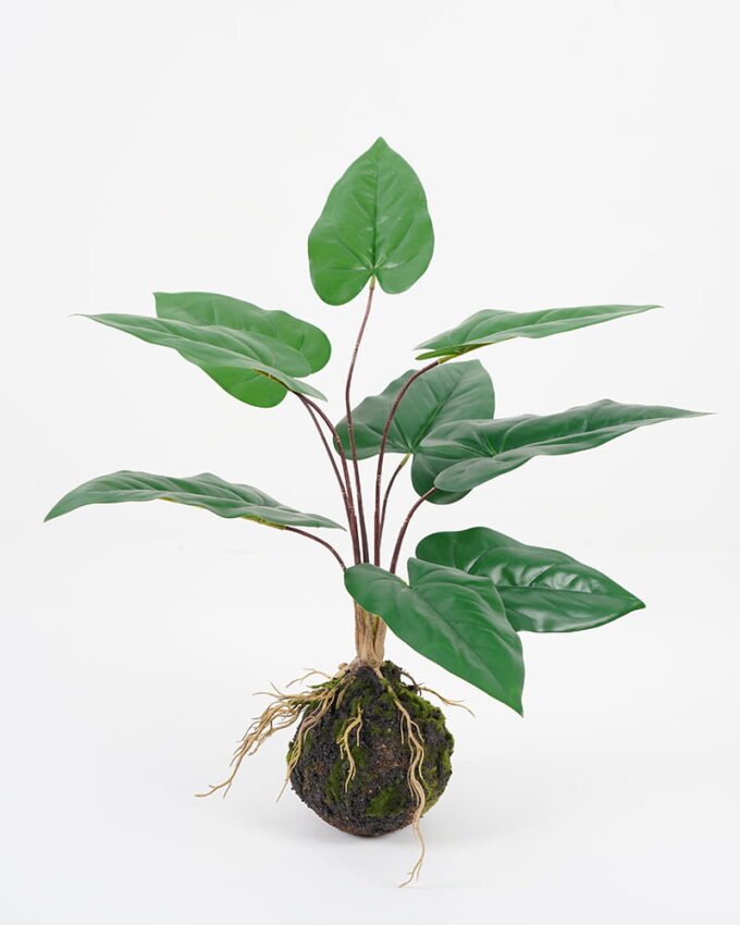Artificial Plant 46*47*53cm leaf in pp pot GS-64021007 Potted Flowers&Plants YeahFlower is one of Chinese leading OEM manufacturers and exporters , supplying the silk flowers, wholesale artificial trees