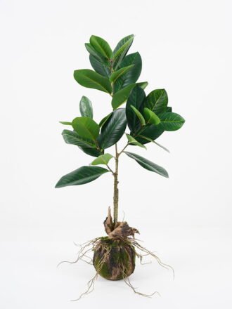 Artificial Plant 46*47*53cm leaf in pp pot GS-64021007 Potted Flowers&Plants 3,000+ sqm showroom with thousands of artificial flowers, plants & trees ready for global sourcing.