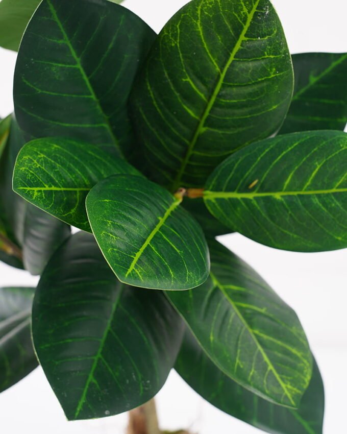 Artificial Plant 35*26*80cm leaf in pp pot GS-64021008 Potted Flowers&Plants YeahFlower is one of Chinese leading OEM manufacturers and exporters , supplying the silk flowers, wholesale artificial trees