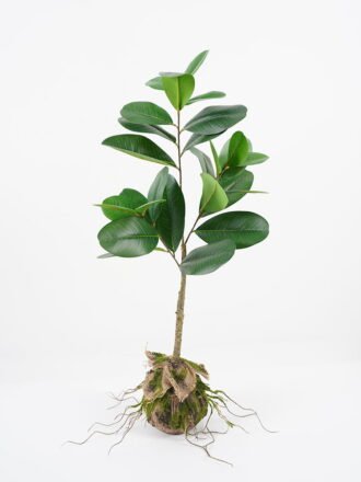 Artificial Plant 39*18*81cm leaf in pp pot GS-64021010 Potted Flowers&Plants 3,000+ sqm showroom with thousands of artificial flowers, plants & trees ready for global sourcing.