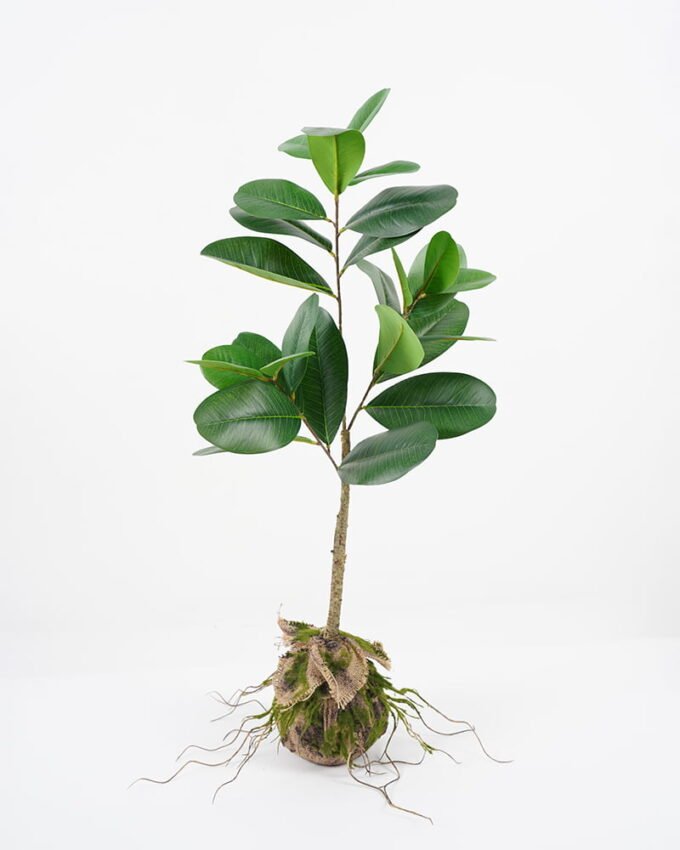 Artificial Plant leaf in pp pot GS-64021009_3 Artificial Plant 35*26*80cm leaf in pp pot GS-64021009 Potted Flowers&Plants YeahFlower is one of Chinese leading OEM manufacturers and exporters , supplying the silk flowers, wholesale artificial trees