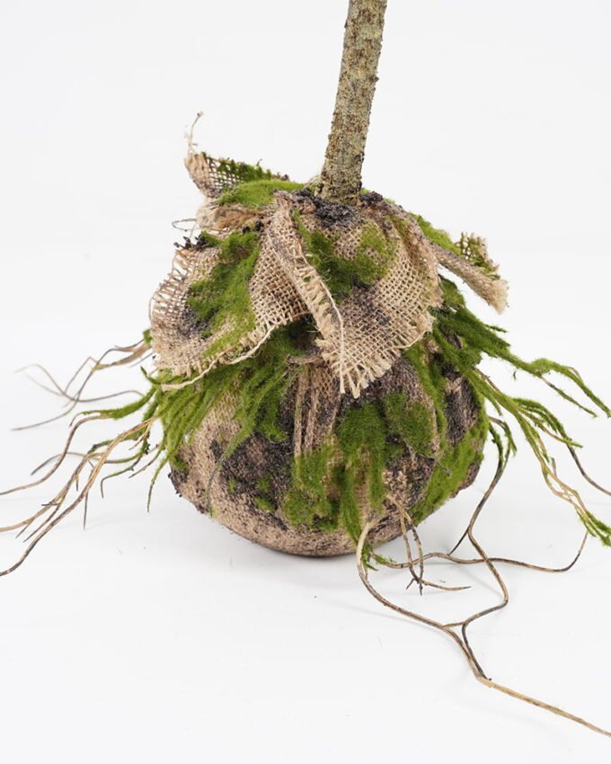 Artificial Plant leaf in pp pot GS-64021009_6 Artificial Plant 35*26*80cm leaf in pp pot GS-64021009 Potted Flowers&Plants YeahFlower is one of Chinese leading OEM manufacturers and exporters , supplying the silk flowers, wholesale artificial trees