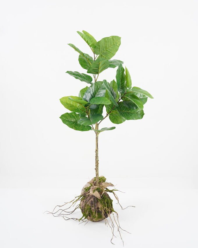 Artificial Plant 39*18*81cm leaf in pp pot GS-64021010 Potted Flowers&Plants YeahFlower is one of Chinese leading OEM manufacturers and exporters , supplying the silk flowers, wholesale artificial trees
